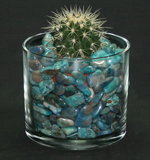 cactus with chrysocolla vase filler