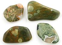 Rainforest Rhyolite