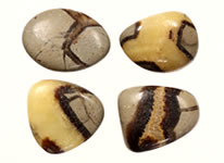 Septarian Stone