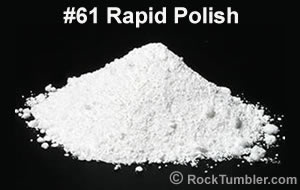 #61 Rapid Polish