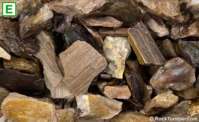 North Dakota petrified wood tumbling rough