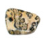 Leopard skin jasper