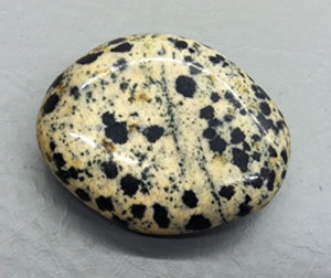 raw dalmatian jasper