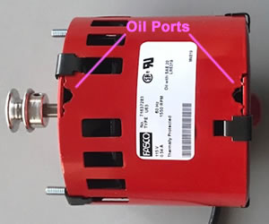 motor with oil ports