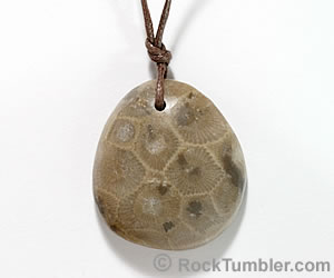 Petoskey Stone