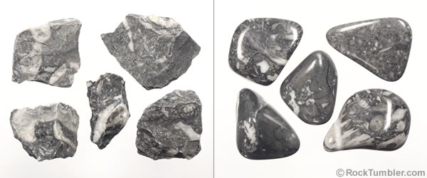 Fossiliferous Marble