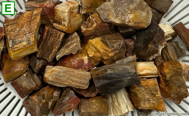 Madagascar Petrified Wood tumbling rough