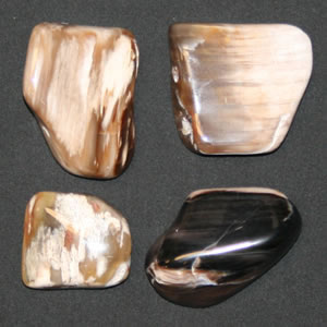 tumbled petrified wood