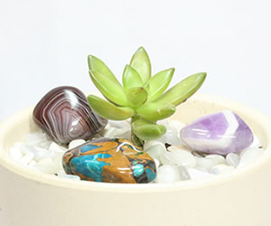 tumbled stones in a potted plant